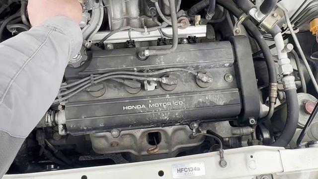 share RF1-1267854