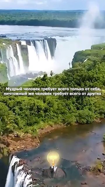 ТОП ЦИТАТЫ из ЖИЗНЕННОГО ОПЫТА | AlterLife Quotes