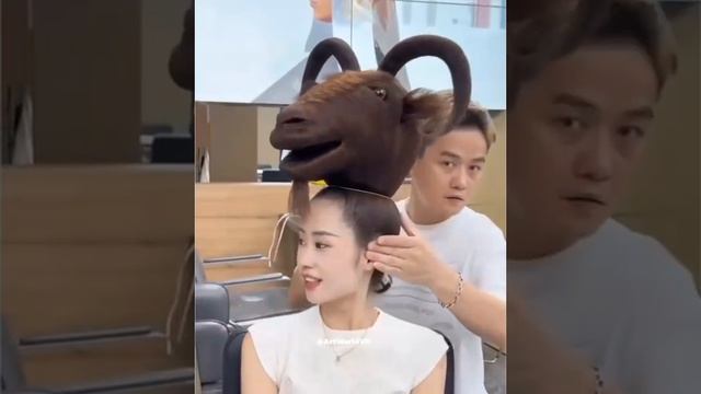 VID-20250523-WA0088