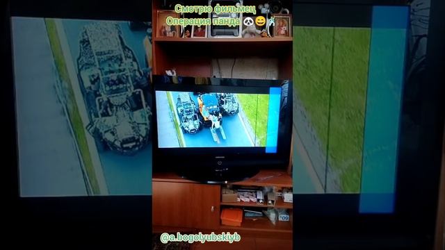 Смотрю фильмец 📽️ Операция панда 🐼 и танцую 🕺 лежа