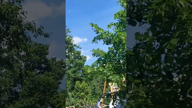 25 мая прогулка по Москве часть вторая
