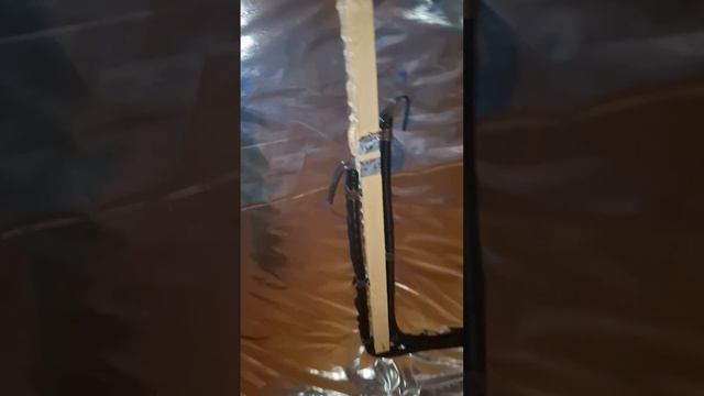 1000024597.mp4 (Собака смотрит на электроснабжение нового дома А-фрейм)