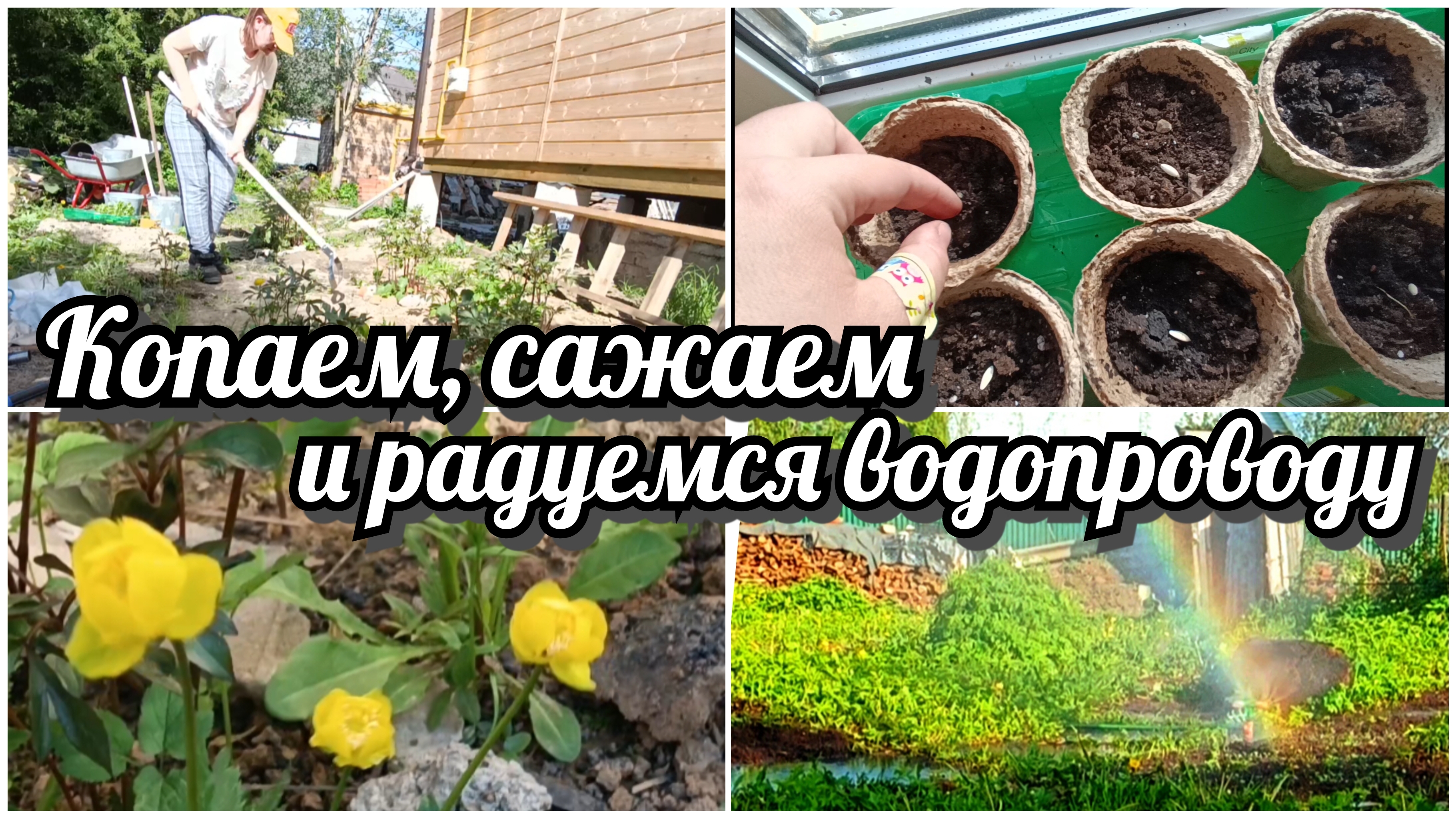 Сажаем красоту: астры.Ещë огурцы. Мои новые тяпки. + Мужской сюрприз – водопровод на даче