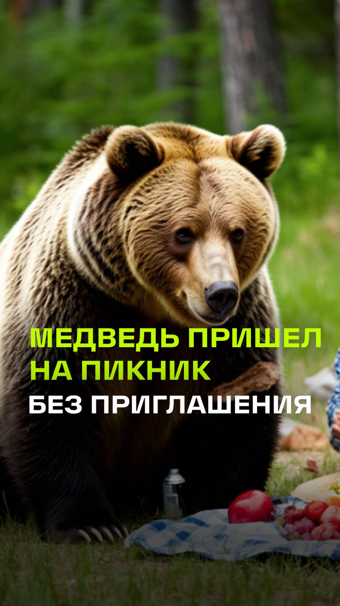 Медведь переплыл реку и погнался за подругами на Камчатке