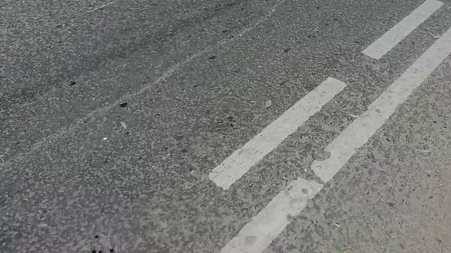 26.05.2025.Усадьба Парк Кино Ляхово. Парк Кошек. Домодедово. Ремонт трассы Каширского шоссе.Часть 2.