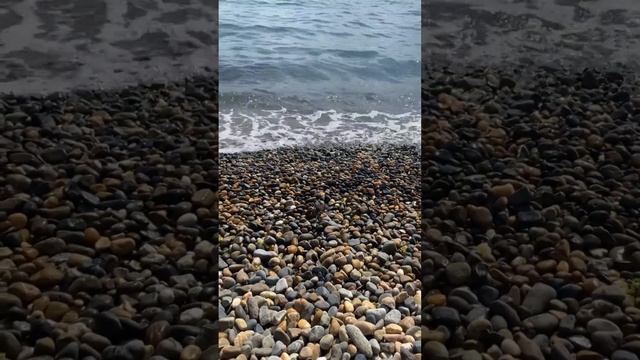 На пляже мы увидели крабика. Он оказался без одной клешни, но это не помешало ему вернуться в море.