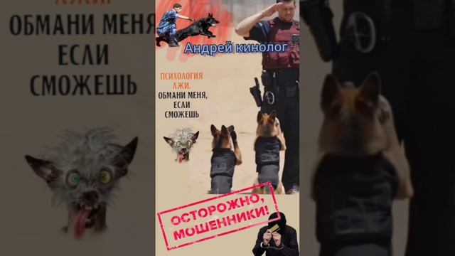 Нарезка мошни!