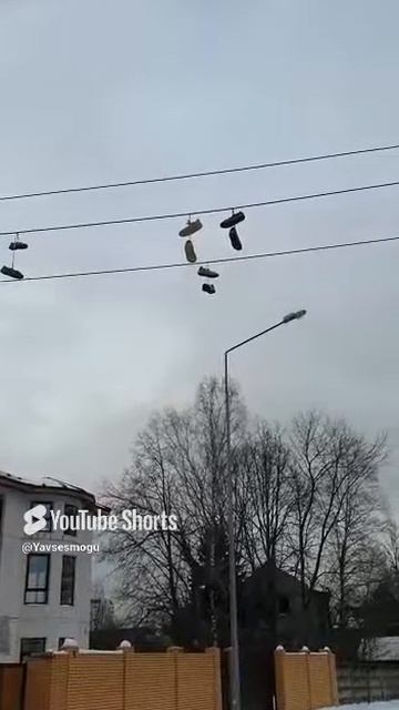 #Shorts#Юмористы#Поздравили