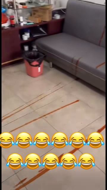 1000045937.mp4