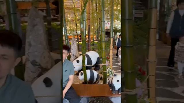 КАФЕ В КОРЕЕ ! КРАСИВО