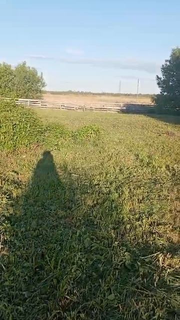 VID-20250521-WA0076