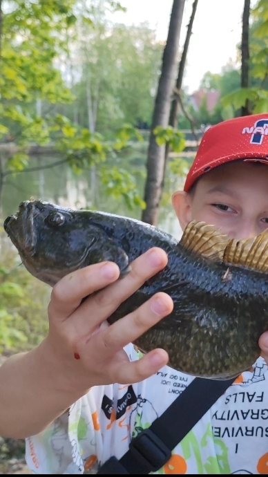 БОСС ПРУДА ПОЙМАН!#хобби#рыбалка#fish#fishing#природа#отдых#рыба#shorts#красота