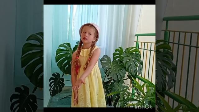 InShot_20250526_111515942.mp4