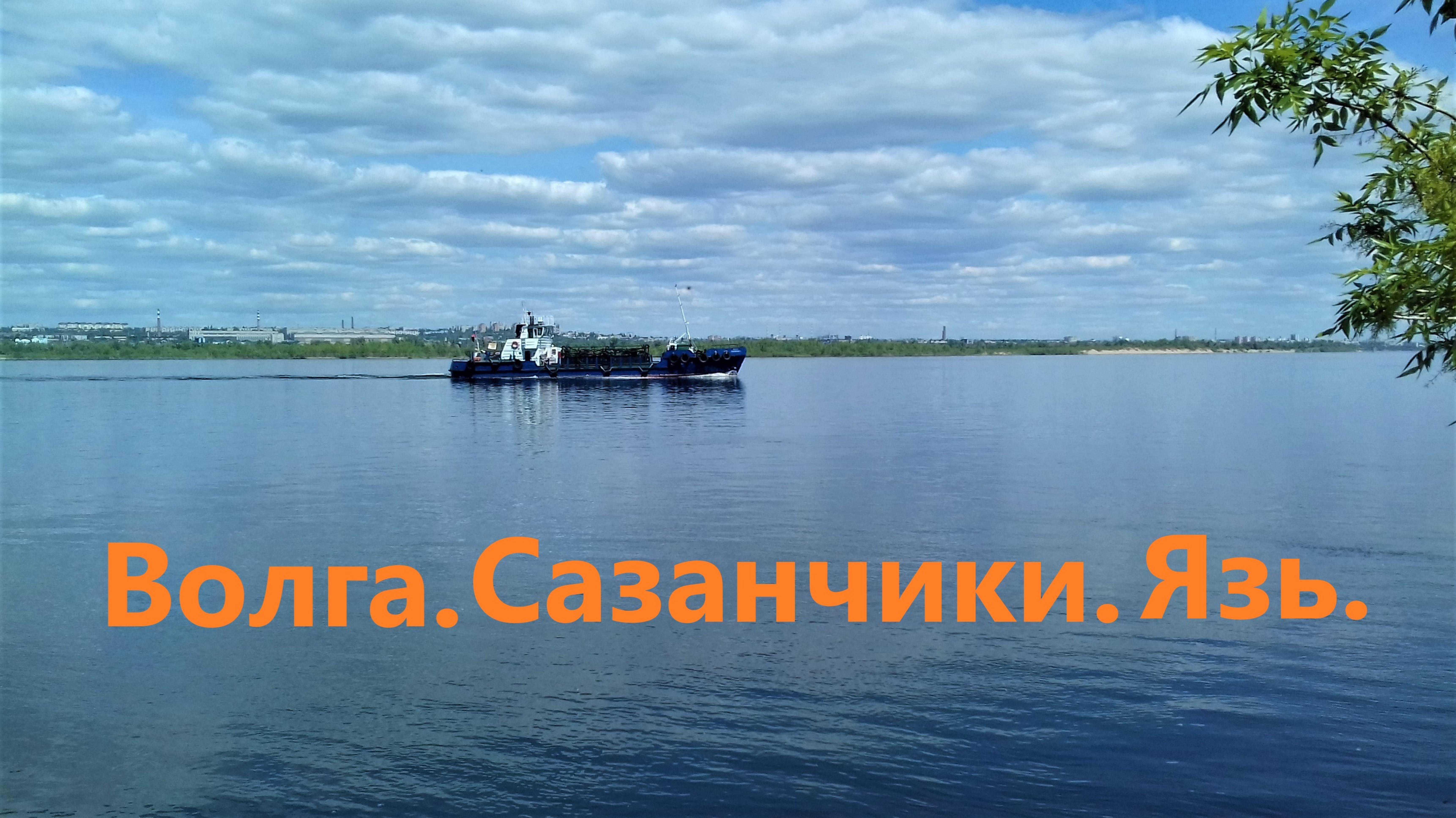 Волга. Сазанчики. Язь.