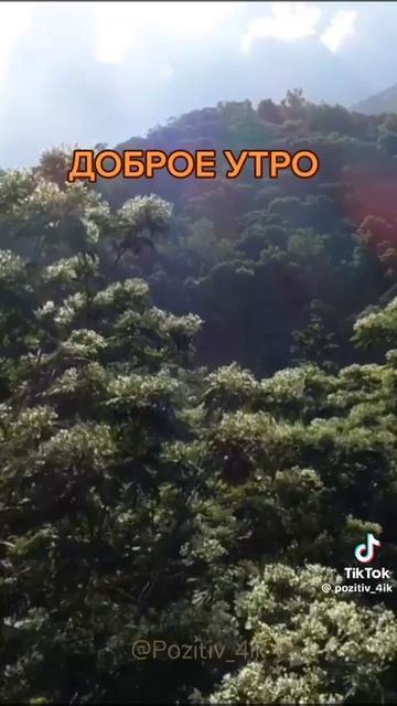 VID-20250526-WA0081.mp4