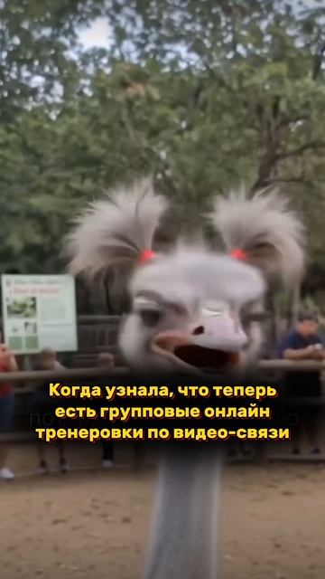 Хочешь попасть на бесплатную онлайн-тренировку?