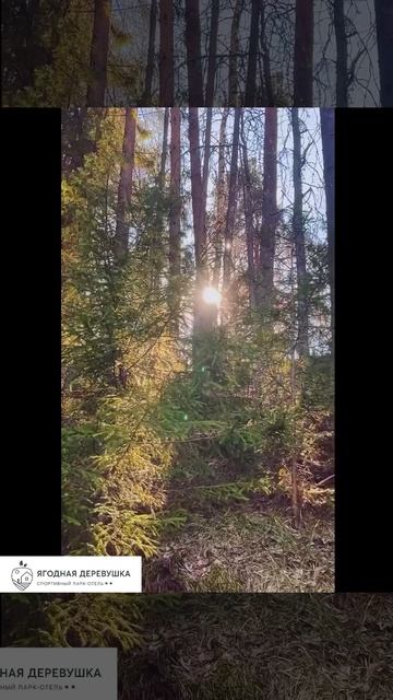 🌊 Озеро Светлояр — русская Атлантида всего в часе езды от  парк - отеля "Ягодная деревушка"