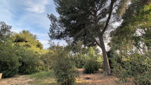 664.Думы наши, думы эмигрантские.