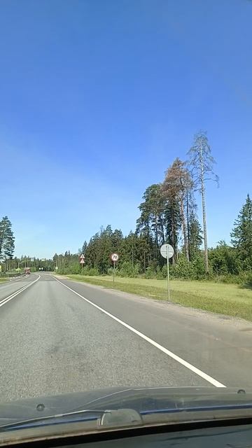 Дорога.