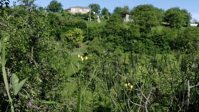 Красивая лето в горах Дагестана #вэтотдень #природныепейзажи #горы