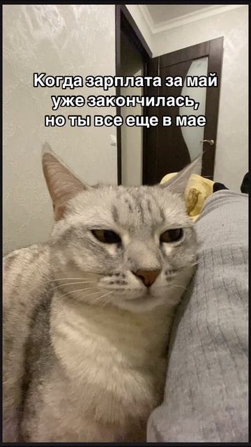 26-05-2025