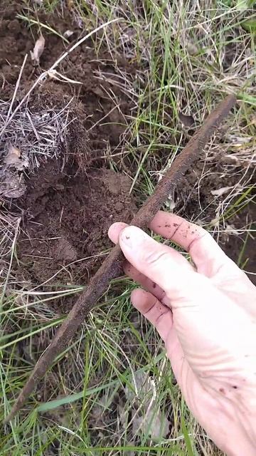 Что только не попадается на копе