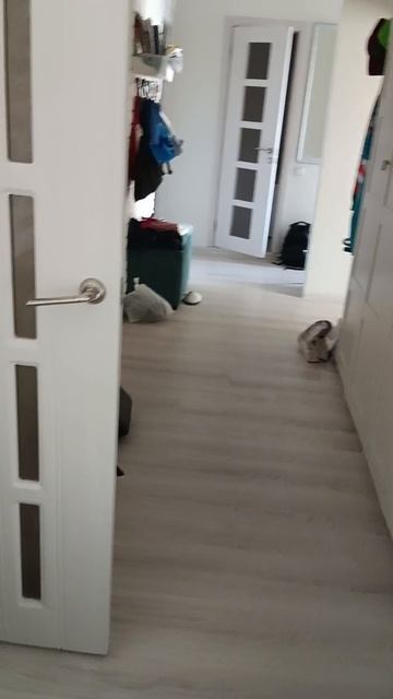 :/