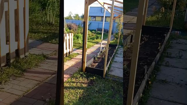 Как сделать бюджетную теплицу