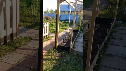 Как сделать бюджетную теплицу