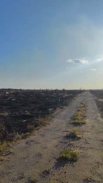 Пожар на Трусовском кладбище
