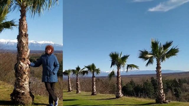 На зиму в Абхазию, день 44, часть 3. Дранда, мужской монас