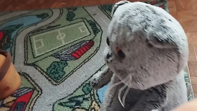 басик и сорняк