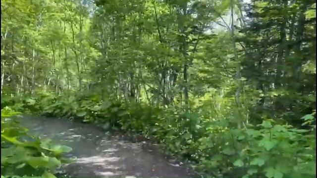 Мицульский хребет. Станция Перевал. Сахалин.18.06.24.
