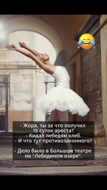 Анекдот дня (210) Хорошее настроение Short