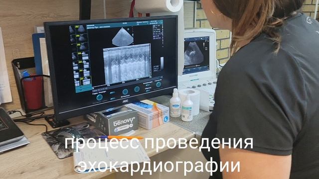 Забота о сердце до первых симптомов.