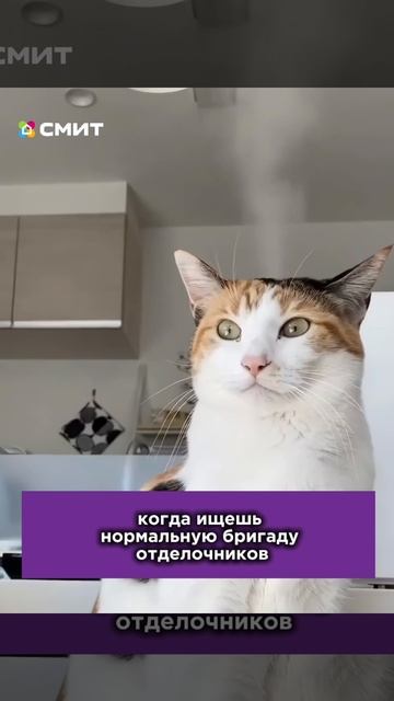 РЕШИМ ЗАДАЧИ СО СТРОЙКОЙ И РЕМОНТОМ! 🙌