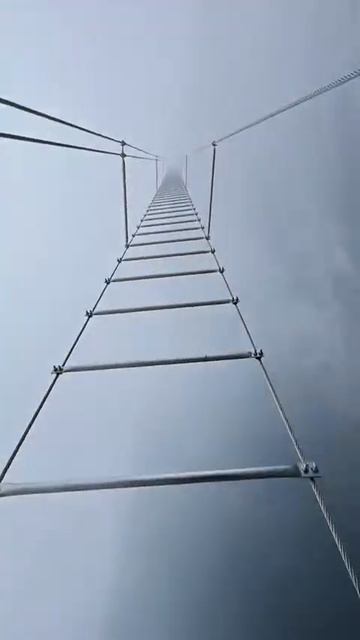 113