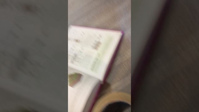 Play Time школа новый учитель часть первая.mp4