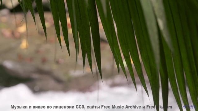 Ты не сможешь остаться равнодушным - это невозможно! - El Desgraciado -- J Hacha De Zola -- Antipati