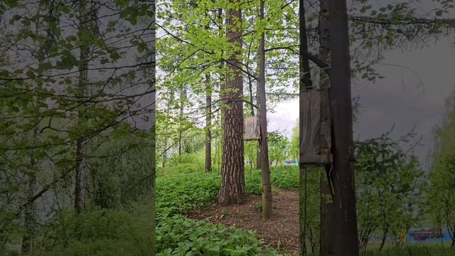 осторожно белка