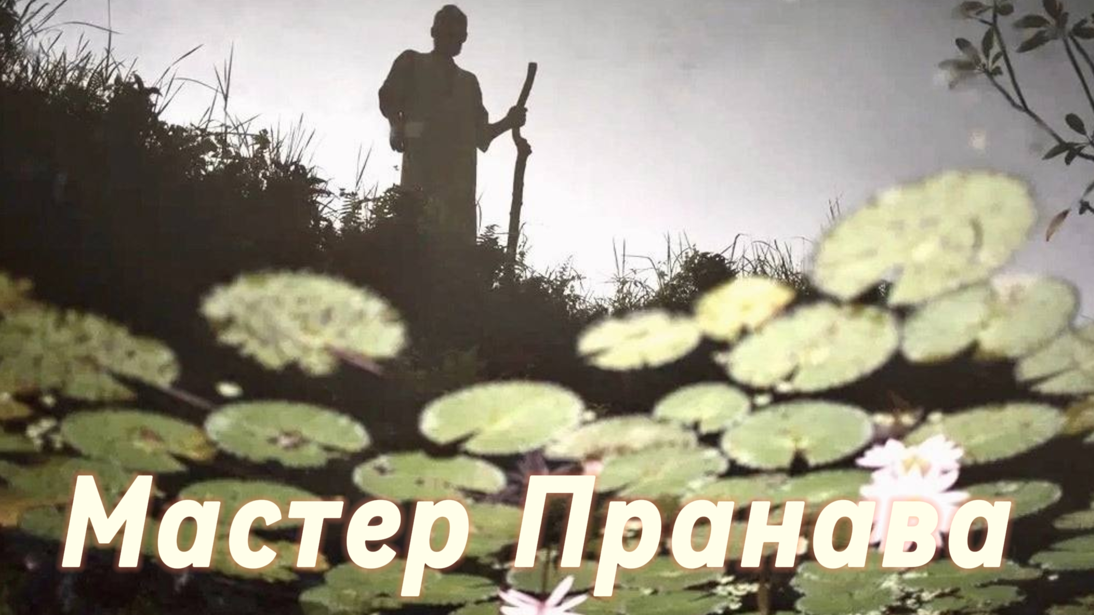 Сдача, Пробуждение, Просветление. Сборник 6. Мастер Пранава