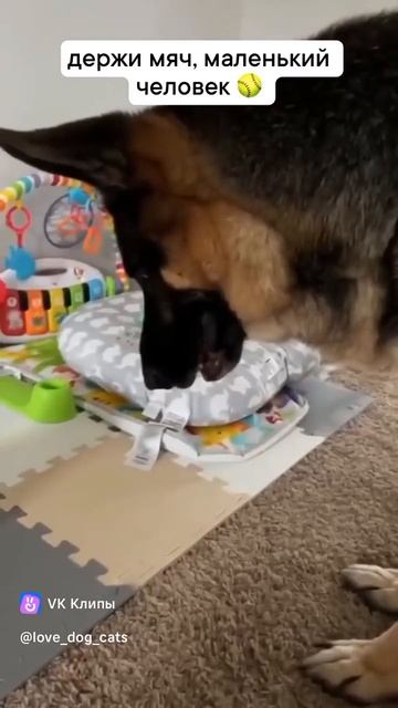1000084010.mp4