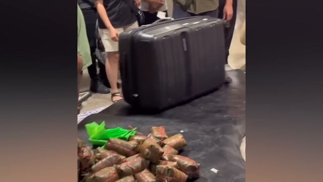На Такое Можно Смотреть Вечно! Случаи Снятые На Камеру