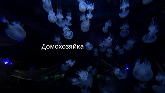 ВЫЛИЛ на голову ЖЕНЫ кастрюлу с ГОРЯЧИМ РАГУ, но остан?