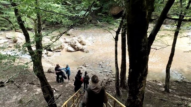 Дорога на водопады Руфабго. Адыгея 21.05.25г.