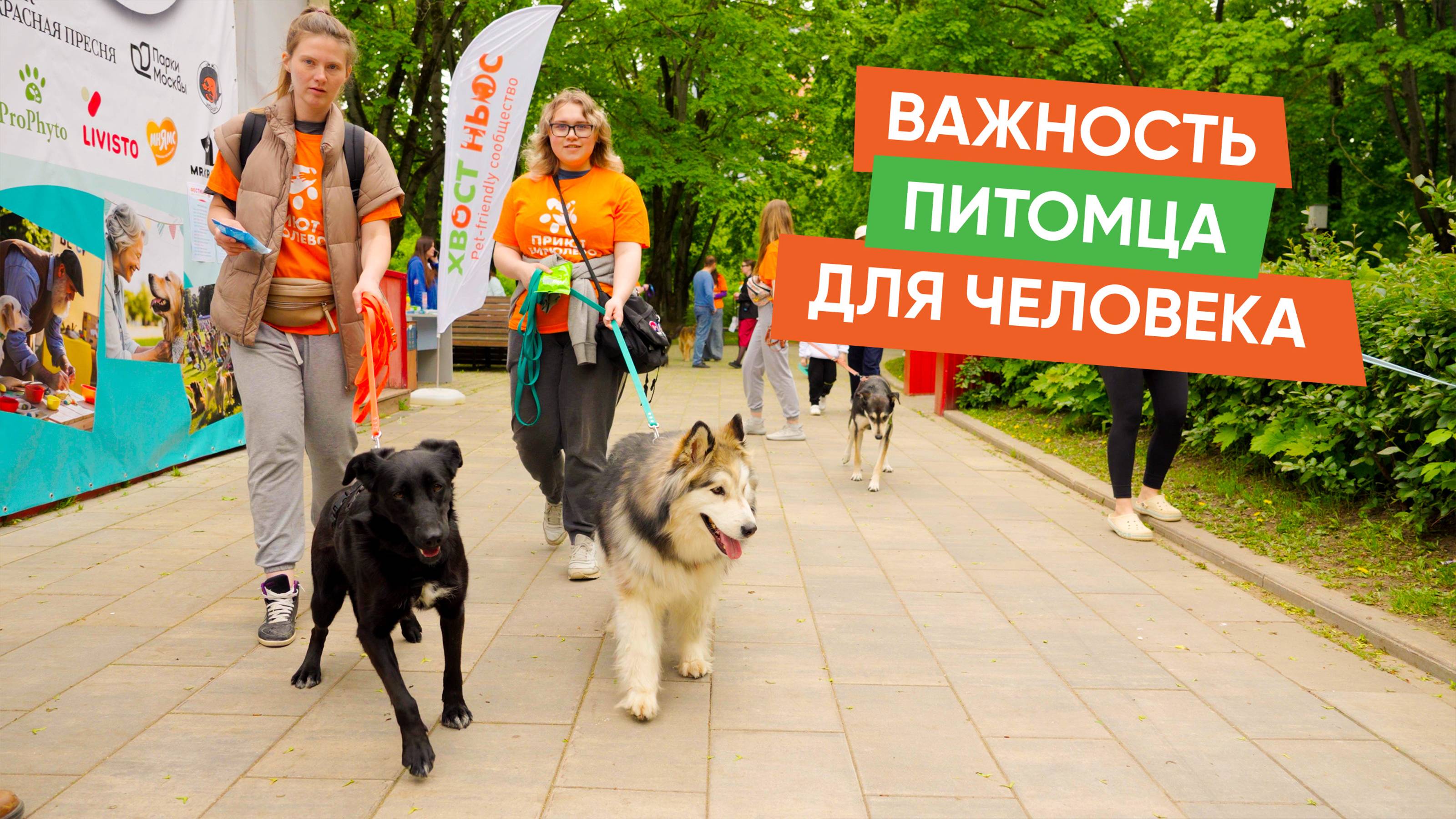 Как прошел благотворительный фестиваль «Две судьбы — одна жизнь»