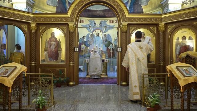 Прямая трансляция: Божественная литургия. 1 декабря 2024