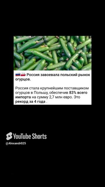 Огуречная агрессия