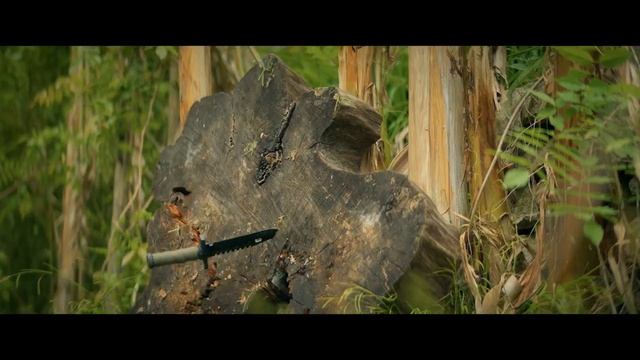 «Дети-шпионы»
Трейлер