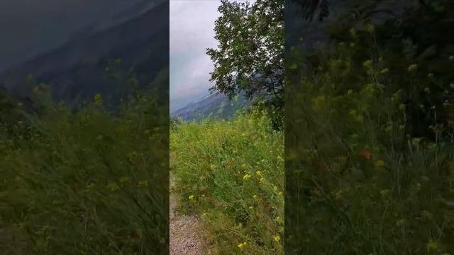 Монастырь Хневанк в селе Гуртан Лорийской области .